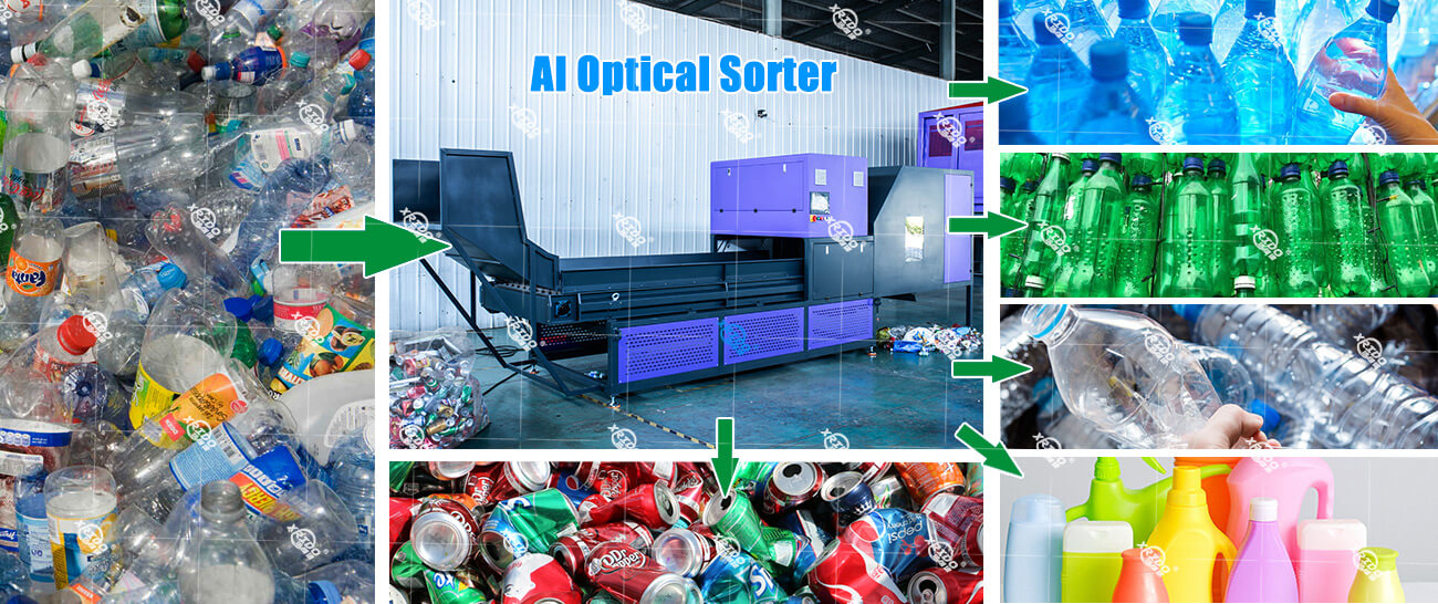 AI Optical Sorter